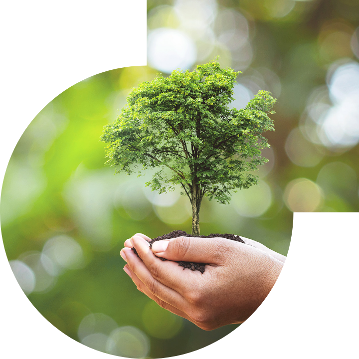 关怀人类、文化、环境与社会